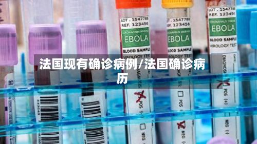 法国现有确诊病例/法国确诊病历-第2张图片